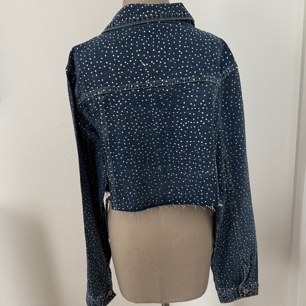 Embellished Rhinestone Fringe Jean Jacket - Picture 9 of 11